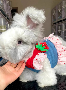 兔子衣服可爱卡通牛仔裙新款牵引绳胸背可牵引外出安哥拉兔溜兔绳