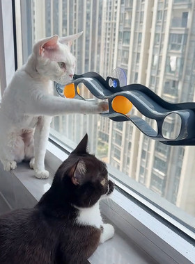 猫咪玩具吸盘轨道逗猫棒自嗨解闷