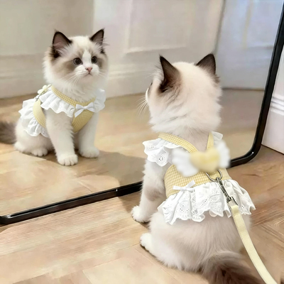猫咪牵引绳甜美翅膀爱心牵引裙