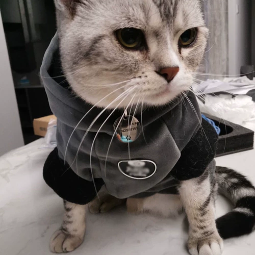 Демисезонный утепленный пуховик, шнурок-держатель, толстовка, осенний сезон