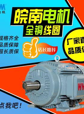 TYCP2全铜线圈110w132w三相变频驱动永磁同步电动机