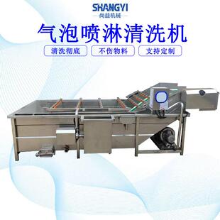 樱桃气泡清洗机车厘子气浪清洗设备水果连续清洗沥干流水线