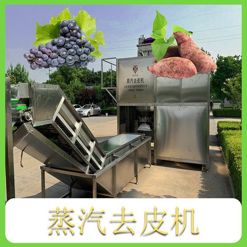 诺新科技果蔬根茎类蒸汽去皮机 自动化脱皮机 黄桃去皮处理