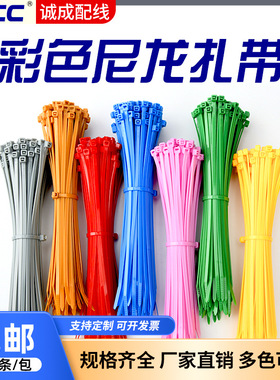彩色尼龙扎带100条包装4*200自锁式白色黑色塑料绑带厂家现货批发