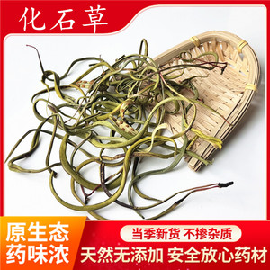 肾精茶长白山肾精草野生化石草 石韦茶 养生茶男性500g东北特产
