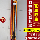 内蒙古阿拉善油性肉苁蓉礼盒装 男性泡酒料整根非野生锁阳