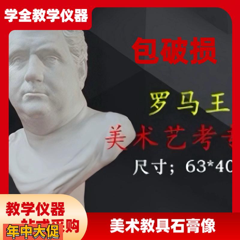 大卫阿勒维纳斯石膏头像美术学生素描绘画写生雕塑像教具模型摆件
