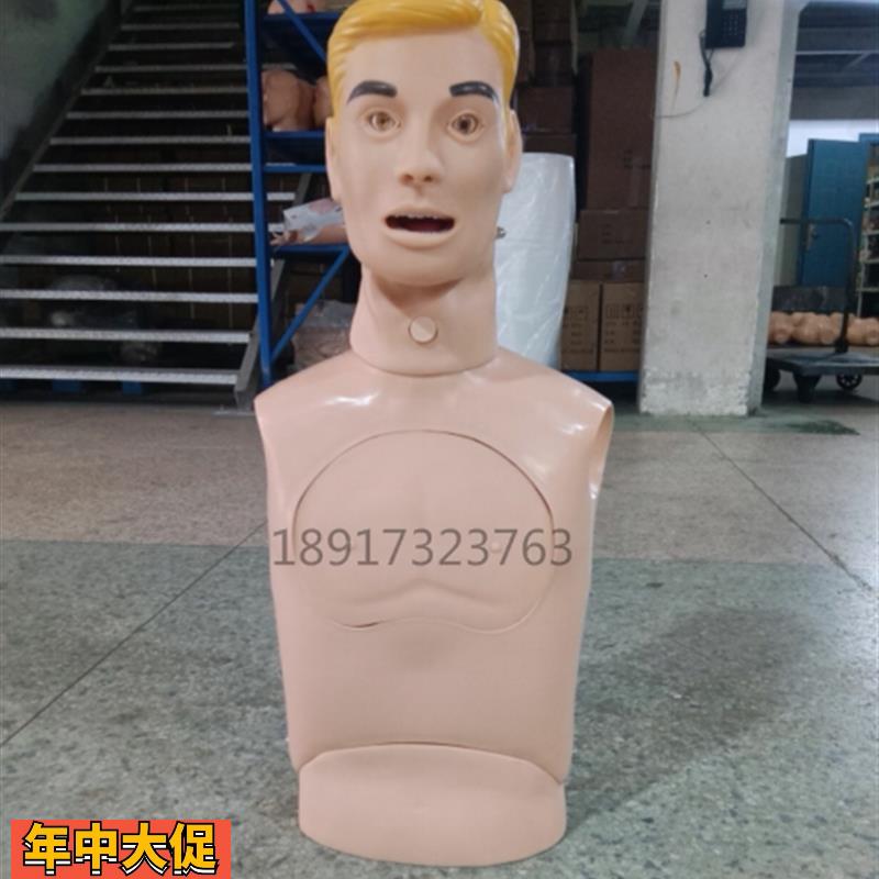 鼻胃管与气管护理模型成人上半身鼻饲洗胃吸痰插管训练模型