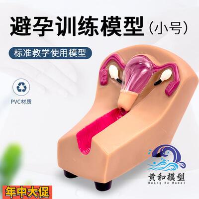 女性宫内避孕器及训练模型子宫生殖器官教学模具上环取环练习