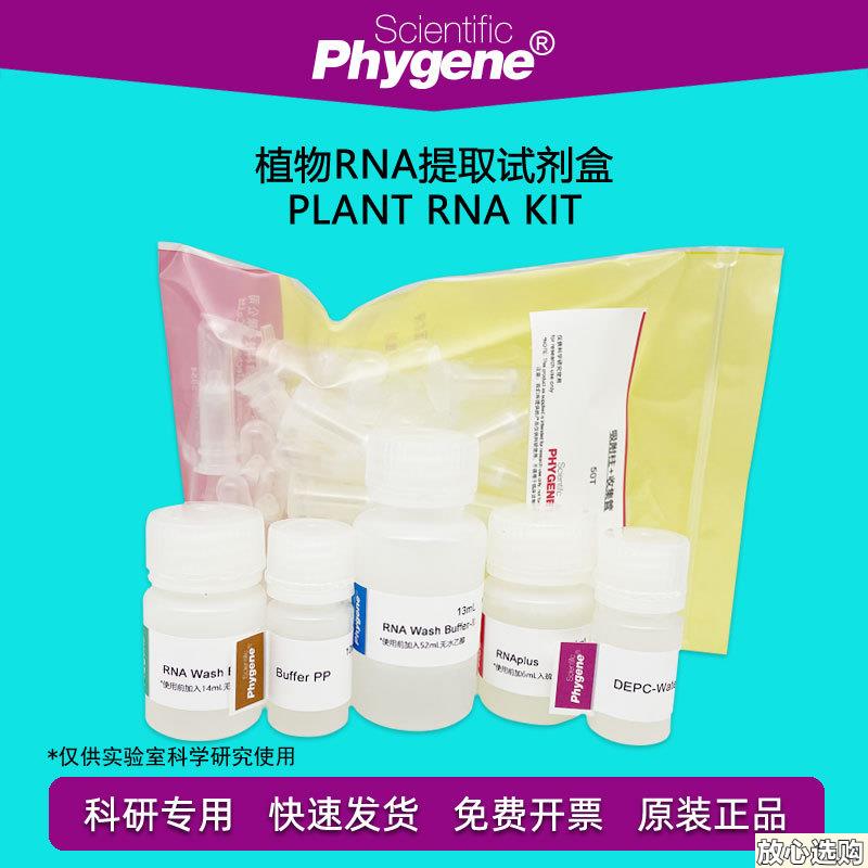 植物RNA提取试剂盒PlantrRNAKit50T/100T[PH0233PHYGENE]