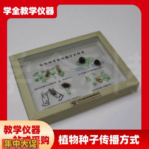 植物种子传播方式标本小学科学生物实验器材教学仪器教学标本