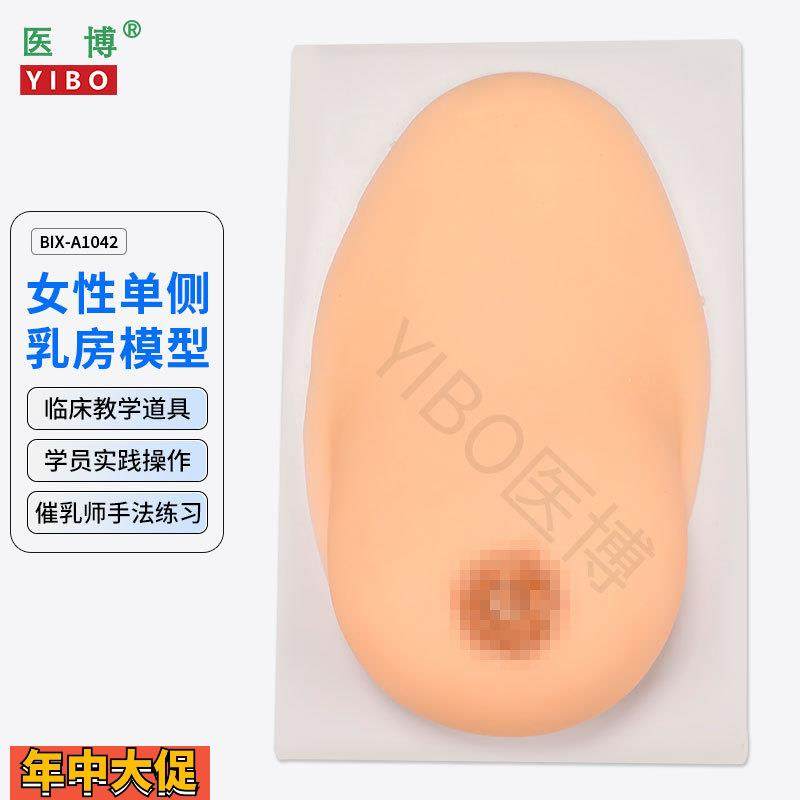医博BIX-1042成人女性单侧硅胶乳房模型仿真触感催乳手法训练教学,文具电教/文化用品/商务用品,教学标本/模型,淘宝优惠券,粉丝福利购,淘宝优惠卷