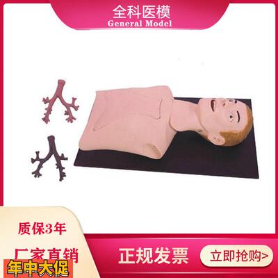 支气管镜插管训练模型
