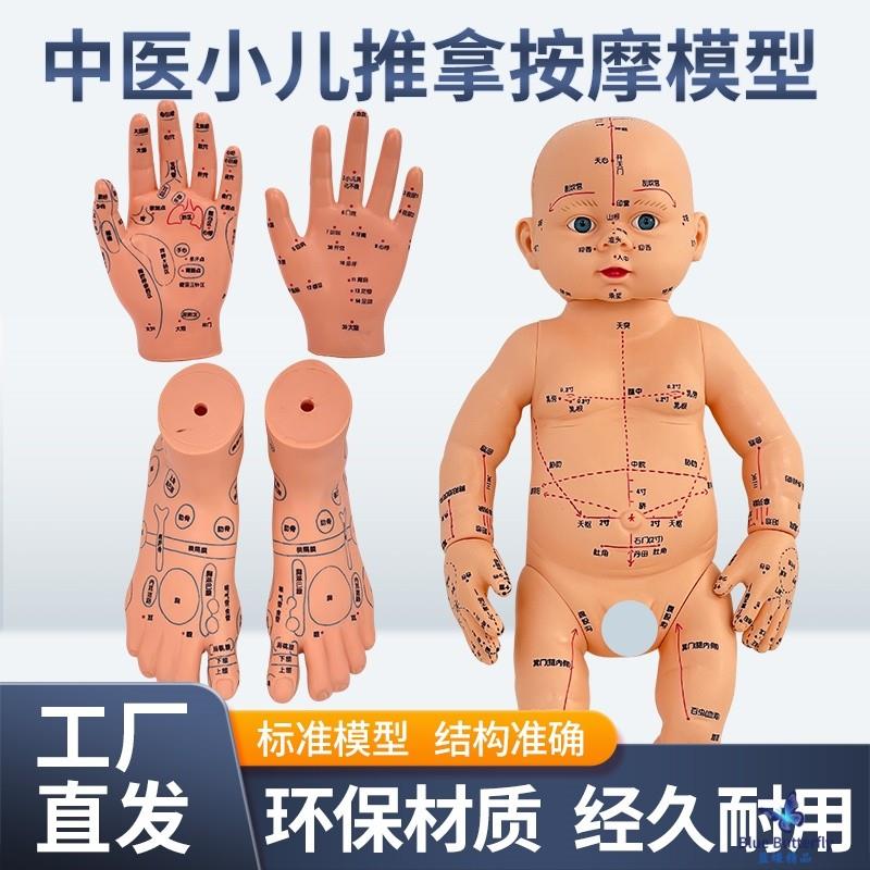 小孩推拿按摩婴儿穴位宝宝模型50cm娃娃带穴位针灸图医馆手法练习