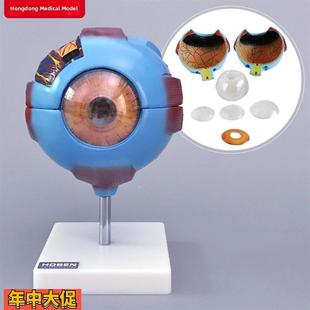 眼球模型人眼结构6倍放大可拆卸式视力教学眼镜医学教学模具