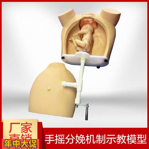 高级手摇分娩机制示教模型医学用练习模具助产训练模型分娩教学