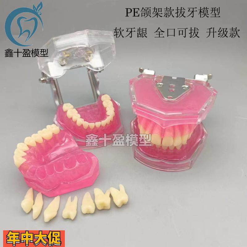 牙科口腔教学生练习拔牙模型全口可拆卸牙齿软牙龈28颗牙齿FE颌架,文具电教/文化用品/商务用品,教学仪器/实验器材,淘宝优惠券,粉丝福利购,淘宝优惠卷