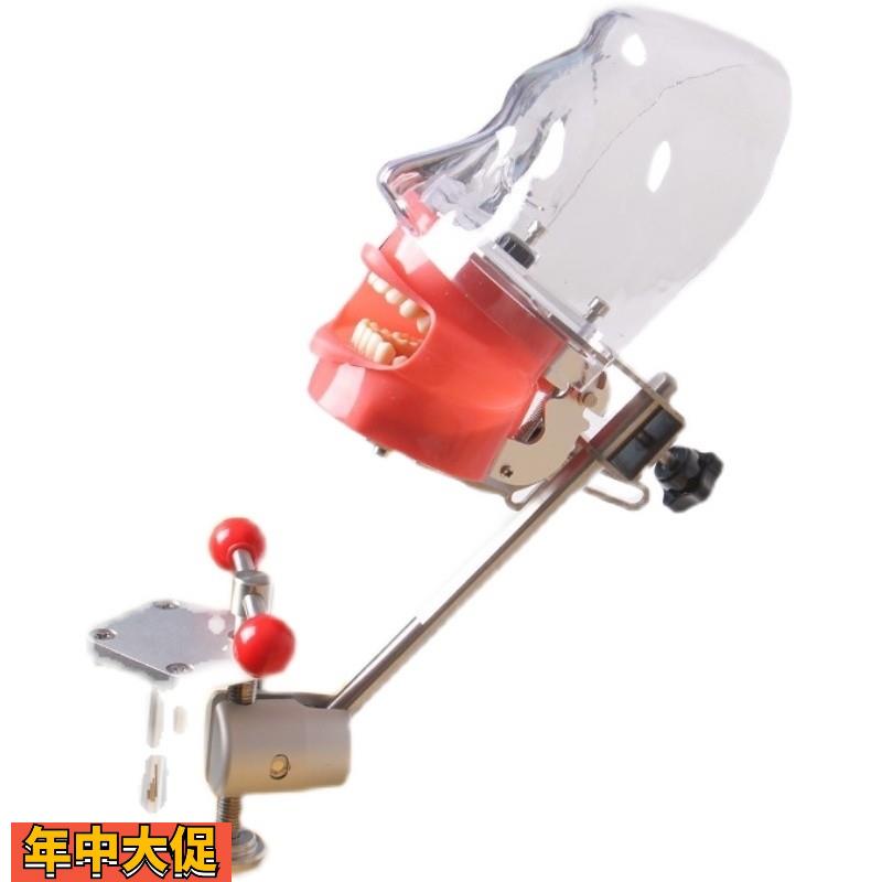 牙科口腔备牙模型器械工具离体牙备牙种植树脂牙简易仿真头模包邮