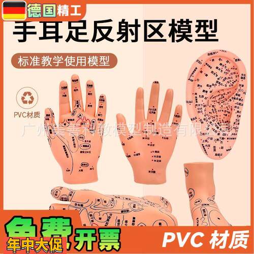 针灸足底脚模反射眼睛图脚穴位模型足部底耳模耳朵手经络手部推拿