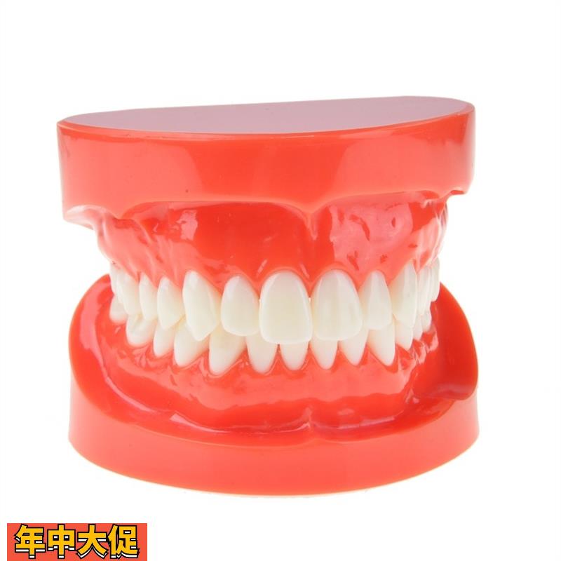 牙科口腔模型标准牙齿模型牙科教学医患沟通口腔材料饰品M7004