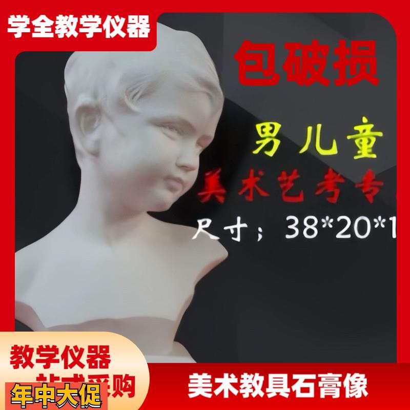 美术石膏人物头像素描石膏像雕塑摆件美术配套器材