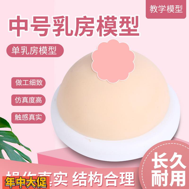 催乳师教具女性乳房模型硅胶乳房模型催乳师培训医学用假乳房