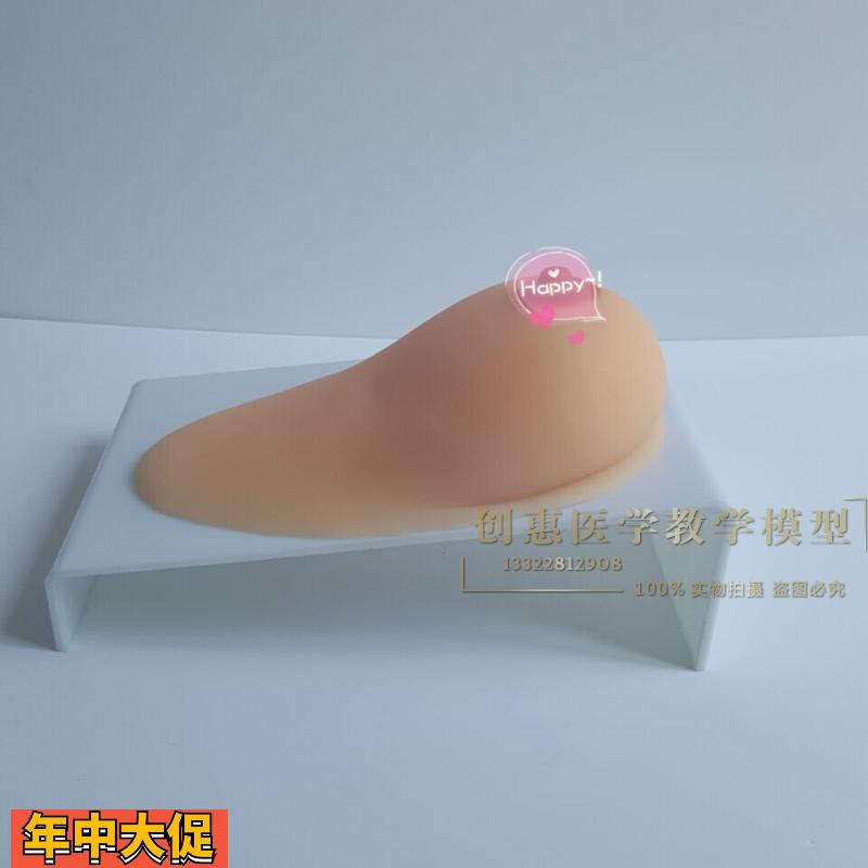 女性乳房模型催乳师培训道具哺乳教学模型硅胶假乳房医学教具