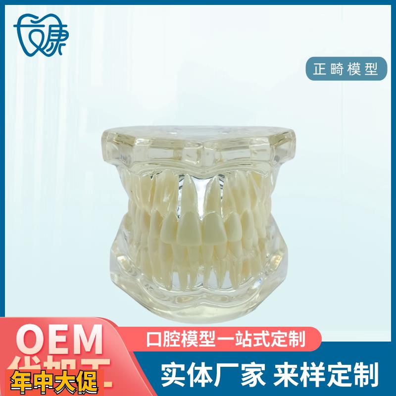 牙齿模型病理修复可拆卸正畸口腔病理牙模型牙科医患活动沟通