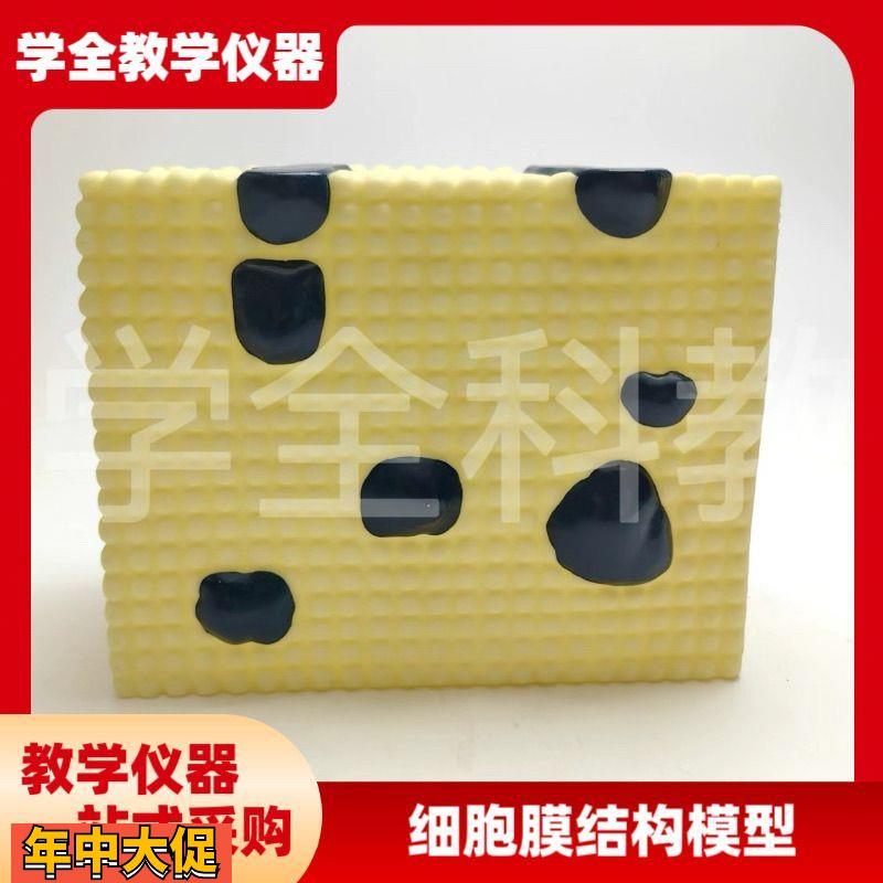 细胞膜结构模型细胞器亚显膜流动镶嵌蛋白质脂质分子和的排列方式