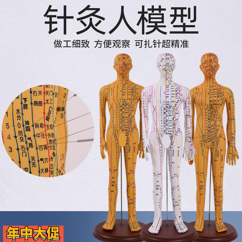 中医针灸穴位模型图全身家用十二经络人体硅胶模型可扎针小铜皮人