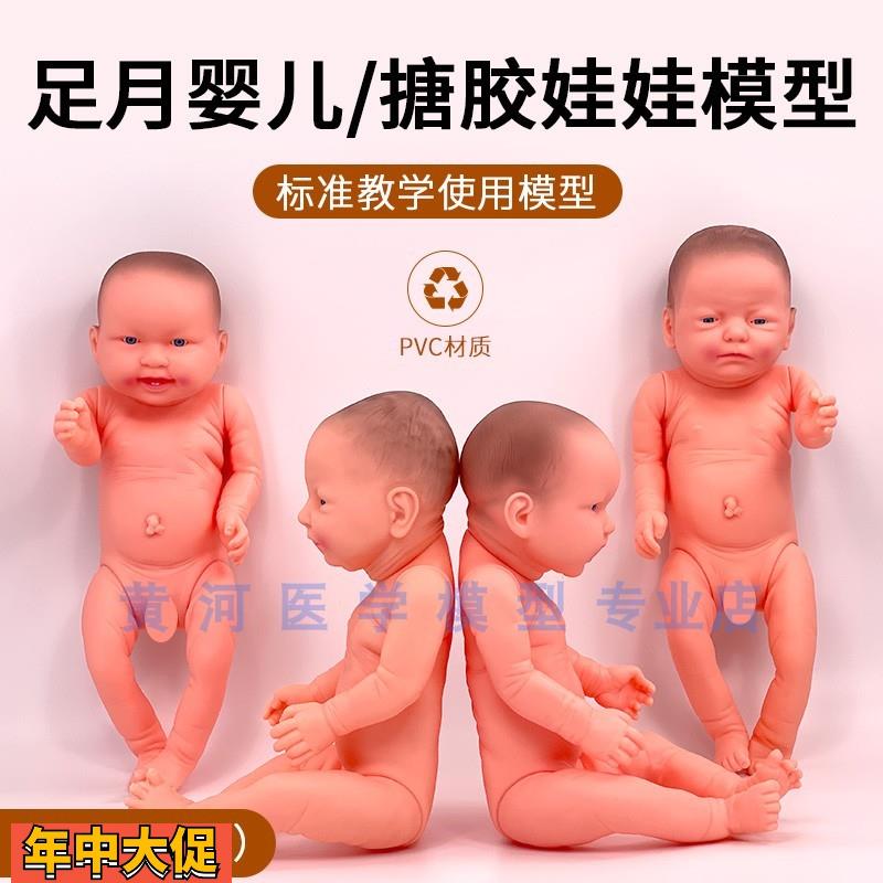 新生儿搪胶软胶塑料仿真医学婴儿家政月嫂护理培训假娃娃模型