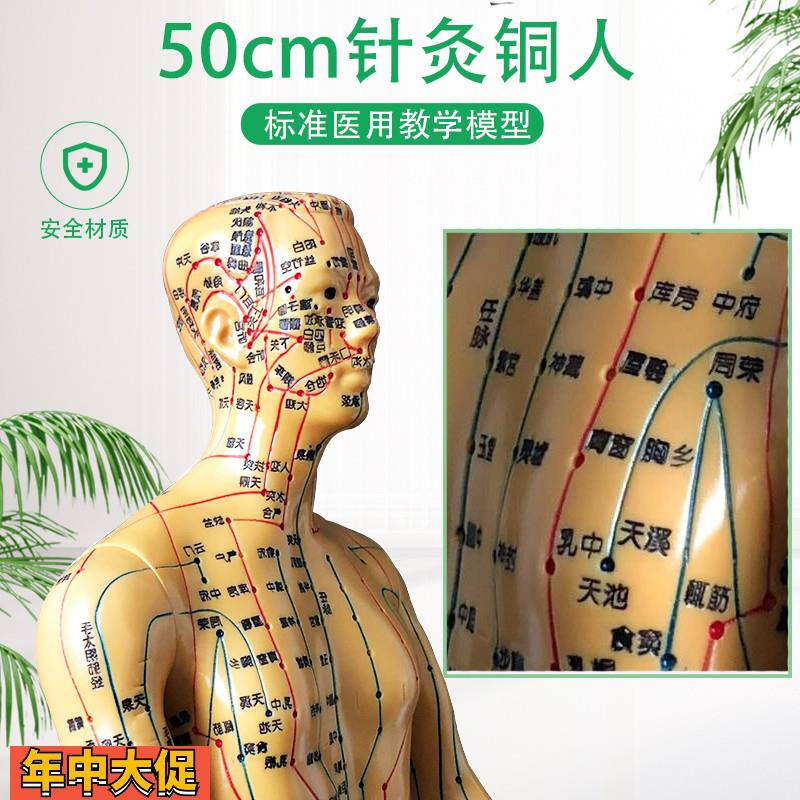 超清针灸穴位人体模型按摩经络通铜人刻字中医用教学女小人送图