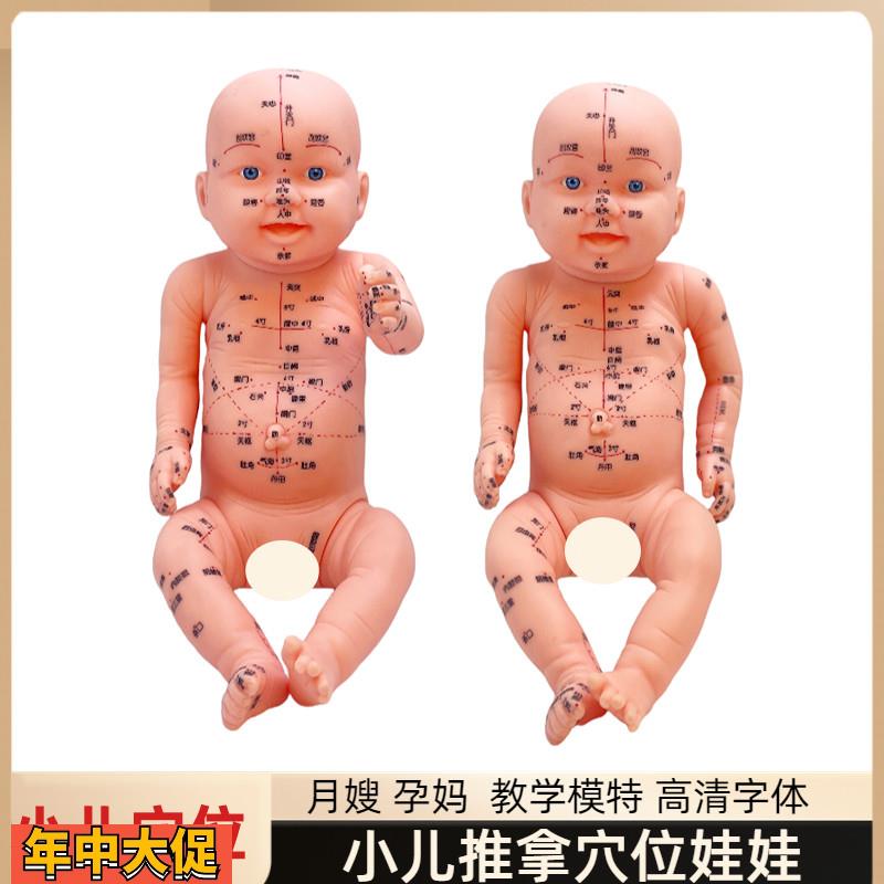 身体穴位经络图中医小儿推拿按摩书教学月嫂培训娃娃模型宝宝保健