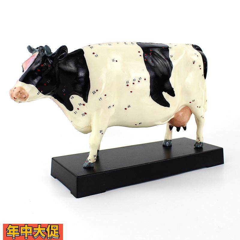 ENOVO颐诺牛针灸穴位模型物解剖模型宠物模型生物畜牧教学针灸,文具电教/文化用品/商务用品,教学标本/模型,淘宝优惠券,粉丝福利购,淘宝优惠卷