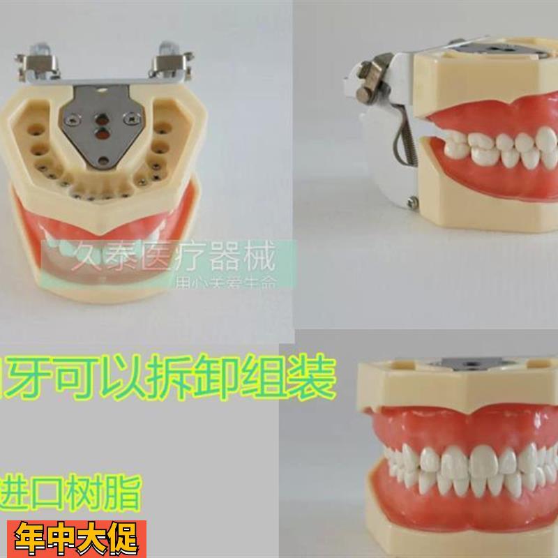包邮标准牙颌模型口腔科备全口牙齿可替换日进牙颌配FE咬合架