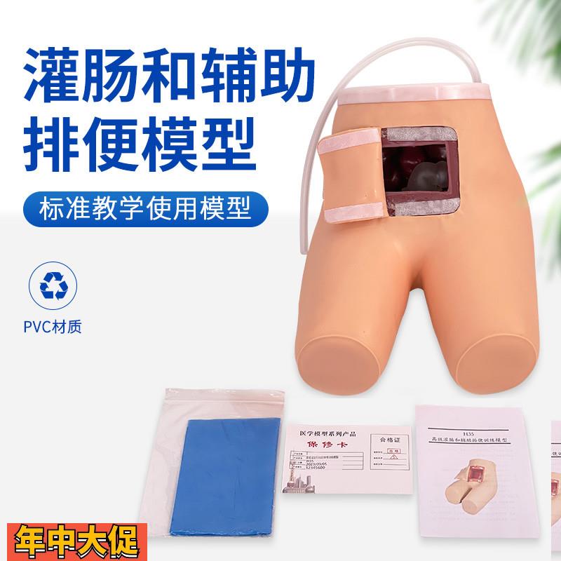 高级灌肠辅助排便训练模型灌肠练习模具老年排便病人MS/H35
