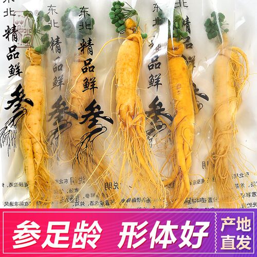 长白山人参 枸杞 鲜人叁 人生 专用 新鲜