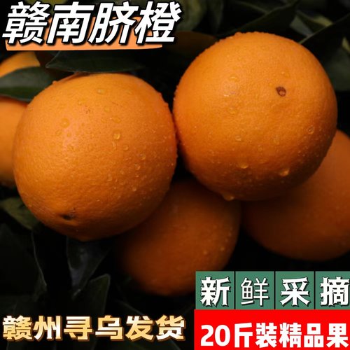 赣南脐橙18.5江西赣州果园直发