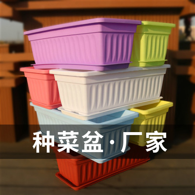 阳台种菜盆 家用种植箱大号长方形菜盆 园艺创意塑料树脂长条花盆