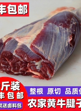 4斤 新鲜原切牛腱子肉农家散养黄牛肉国产健身牛腿腱子肉花键金钱