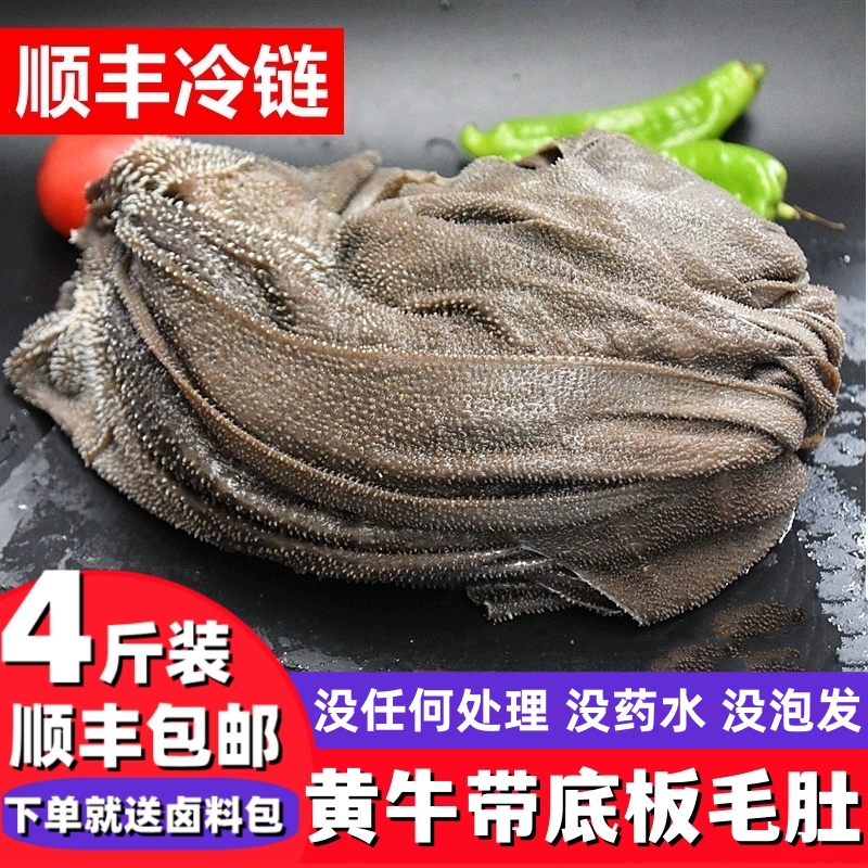 毛肚新鲜带底板牛百叶火锅食材
