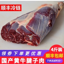 4斤 新鲜原切牛腱子肉农家散养黄牛肉国产健身牛腿腱子肉花键金钱