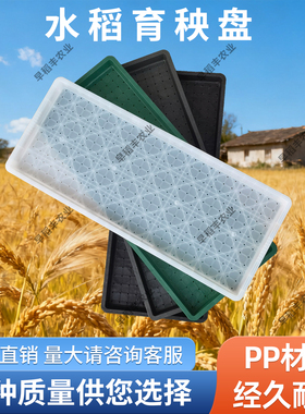 秧盘水稻育苗盘PP加厚硬盘插秧机7寸9寸盘育秧工厂适用苗盘