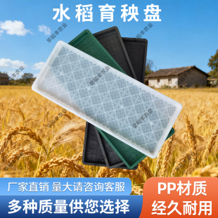 秧盘水稻育苗盘PP加厚硬盘插秧机7寸9寸盘育秧工厂适用苗盘