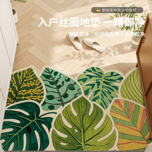 丝圈入户地垫加厚蹭灰除尘耐脏