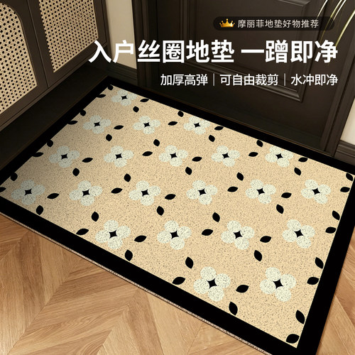 入户玄关丝圈防滑耐脏地垫