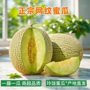 冰淇凌山东玲珑瓜冰淇淋甜瓜9斤当季新鲜现摘水果哈密瓜网纹蜜瓜