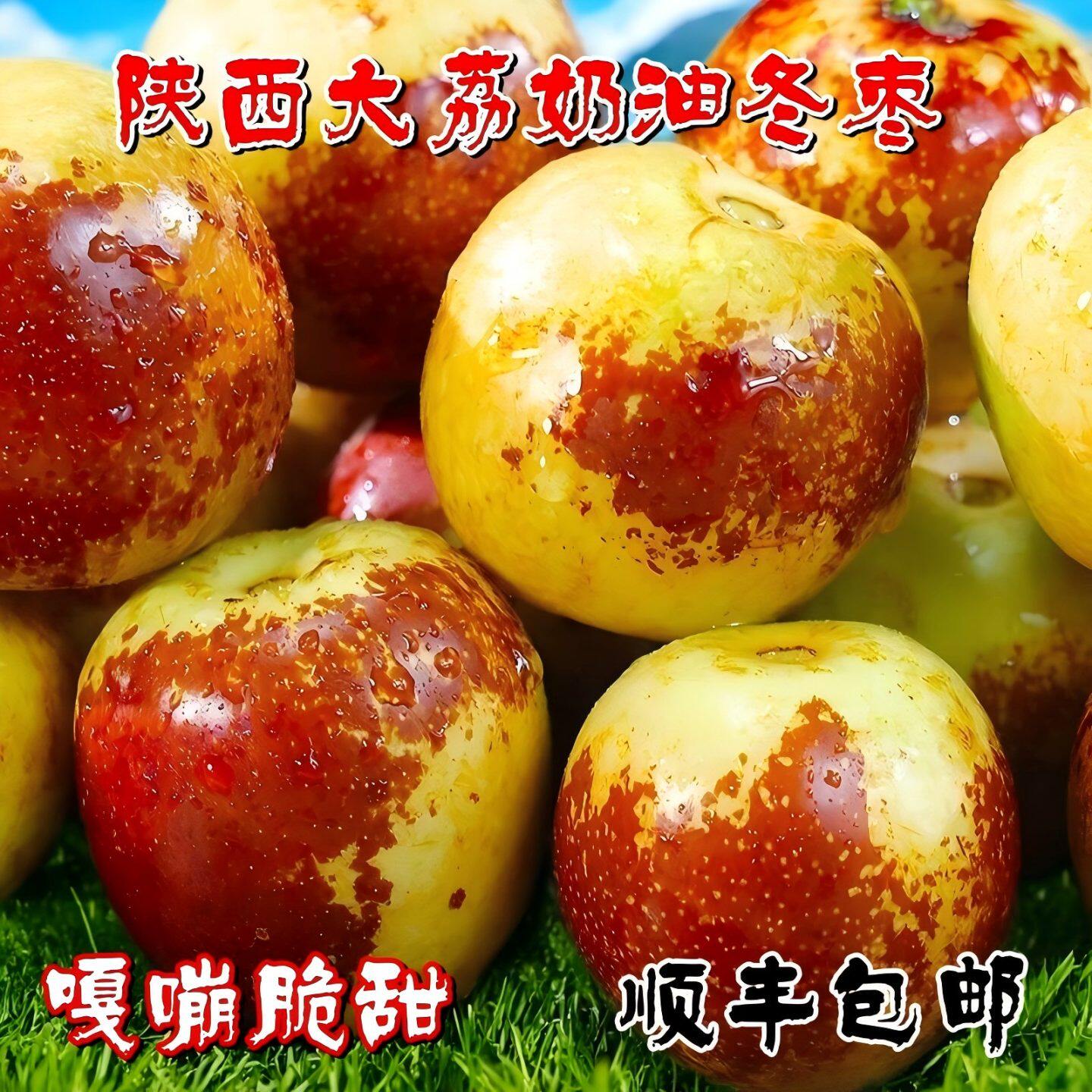 顺丰包邮陕西大荔当季脆甜冬枣