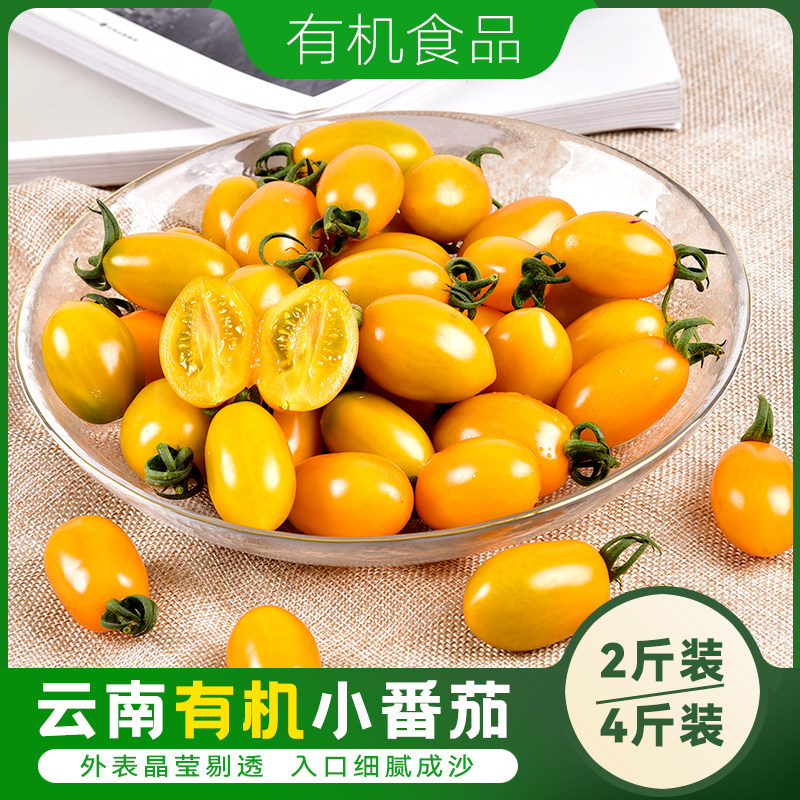 云南有机现摘小番茄顺丰包邮