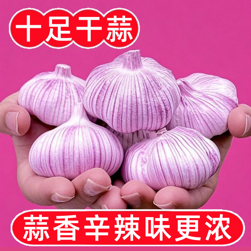 山东紫白皮大蒜头干蒜